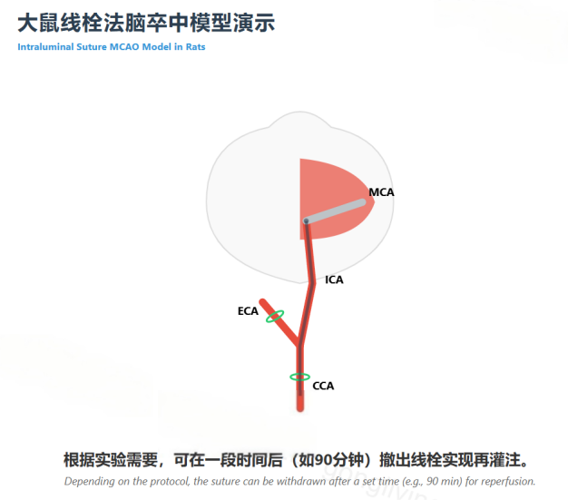 1776654857882667.png 圖1.png