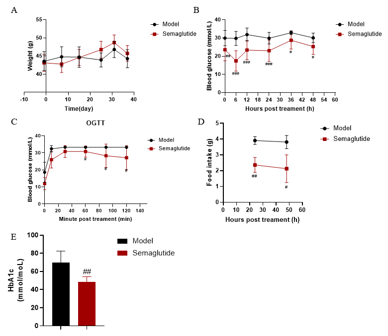 1781663327128738.png 圖片1-2.png