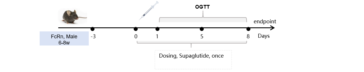 1781663386642937.png 圖片3-1.png