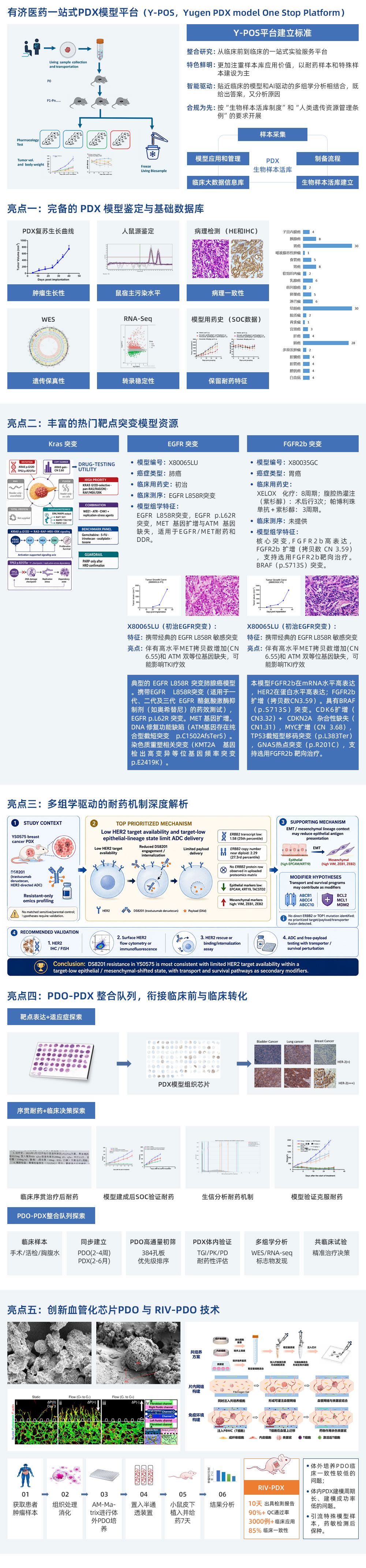 轉化醫學PDXPDO平臺(1).jpg
